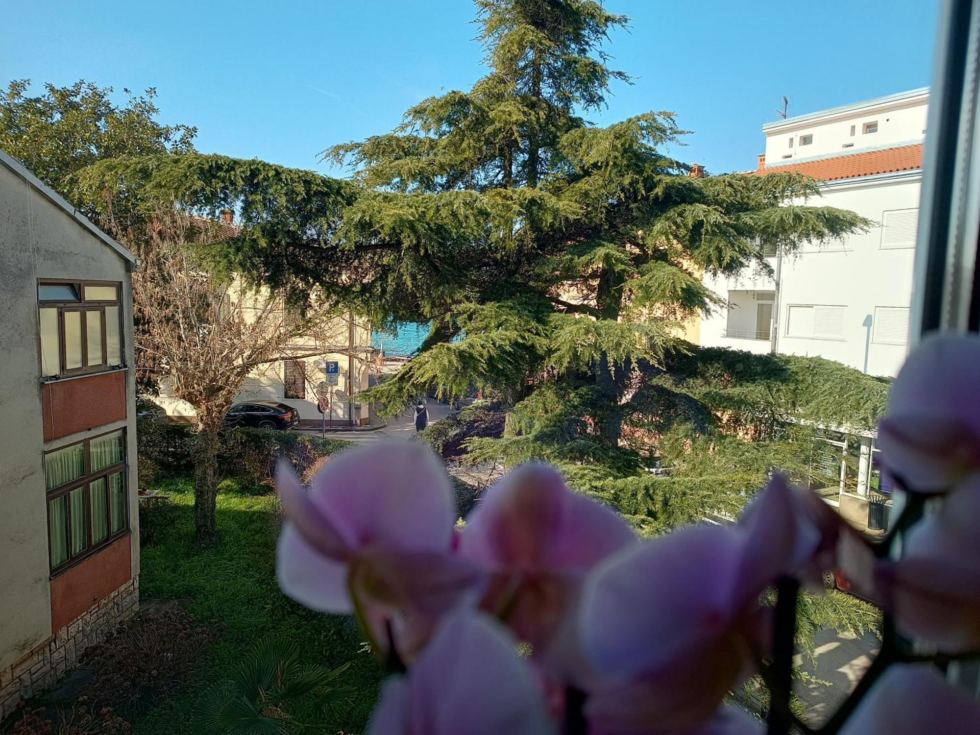 Apartment Luka Fazana Exterior photo